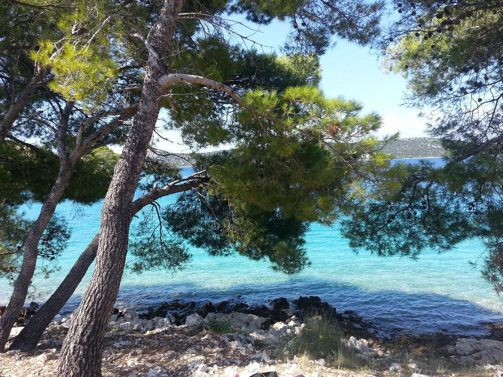 Apartments Cosic Grebaštica Εξωτερικό φωτογραφία